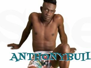 ANTHONYBUIL