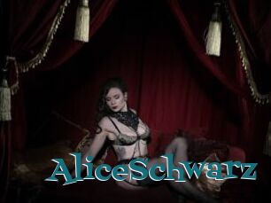 AliceSchwarz