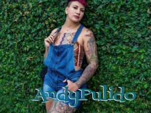 AndyPulido