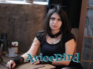 AviceBird