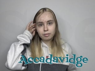 Accadavidge