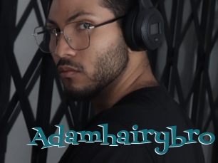 Adamhairybro