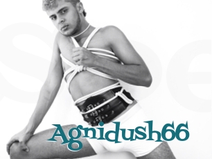Agnidush66