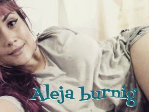 Aleja_burnig