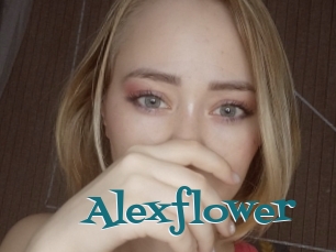 Alexflower