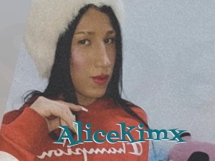 Alicekimx