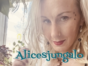 Alicesjungalo