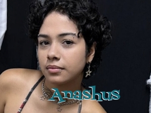 Anashus