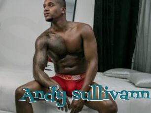 Andy_sullivann