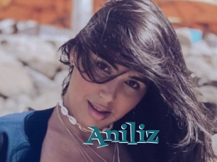 Aniliz