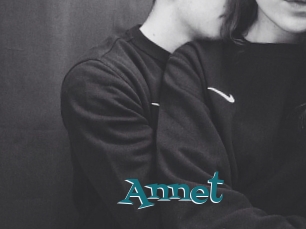 Annet