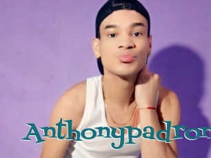 Anthonypadron