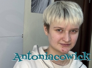 Antoniacowick