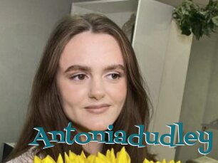 Antoniadudley