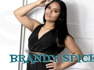 BRANDY_SPICE