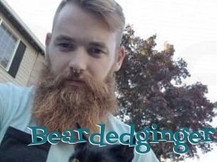 Beardedginger