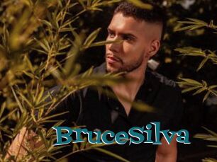 BruceSilva