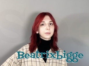 Beatrixbigge