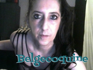 Belgecoquine