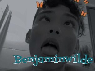 Benjaminwilde