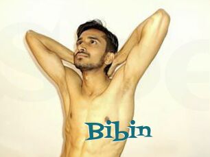 Bibin