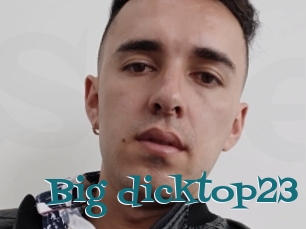 Big_dicktop23