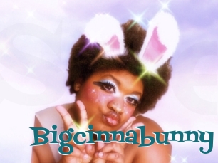 Bigcinnabunny