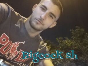 Bigcock_sh