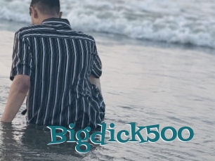 Bigdick500