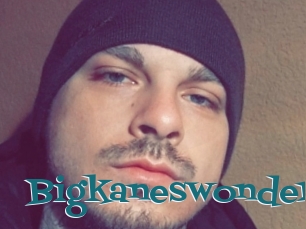 Bigkaneswonder