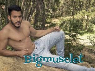 Bigmusclet