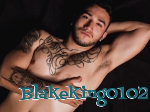 Blakeking0102