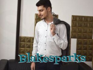 Blakesparks