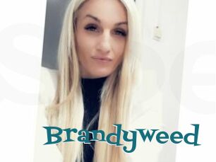 Brandyweed