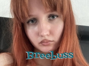 Breebuss