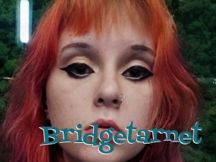 Bridgetarnet