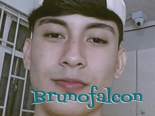 Brunofalcon