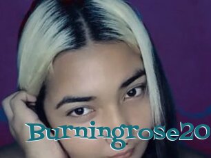 Burningrose20