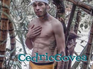 CedricGovea