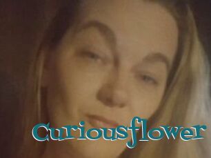 Curiousflower