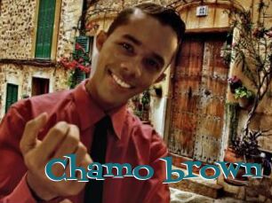 Chamo_brown