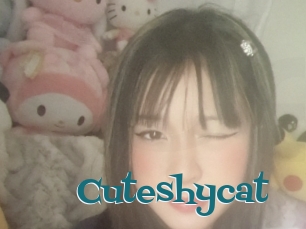 Cuteshycat