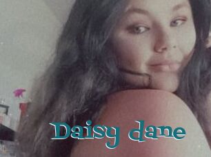 Daisy_dane