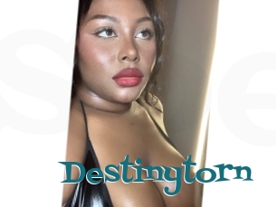 Destinytorn