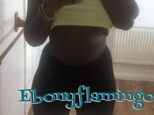 Ebony_flamingo