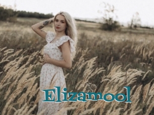 Elizamool