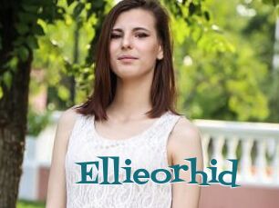 Ellieorhid