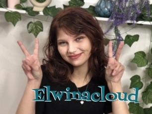 Elwinacloud