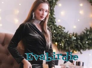 Evabirdie