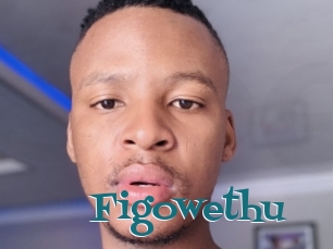 Figowethu